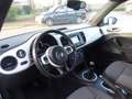 Volkswagen Beetle Cabriolet Design Navi PDC SHZ TOP Blanc - thumbnail 4