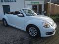 Volkswagen Beetle Cabriolet Design Navi PDC SHZ TOP Blanc - thumbnail 16