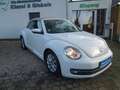 Volkswagen Beetle Cabriolet Design Navi PDC SHZ TOP Blanc - thumbnail 1