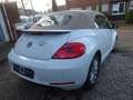 Volkswagen Beetle Cabriolet Design Navi PDC SHZ TOP Blanc - thumbnail 11