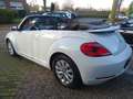 Volkswagen Beetle Cabriolet Design Navi PDC SHZ TOP Blanc - thumbnail 14