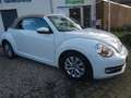Volkswagen Beetle Cabriolet Design Navi PDC SHZ TOP Blanc - thumbnail 10