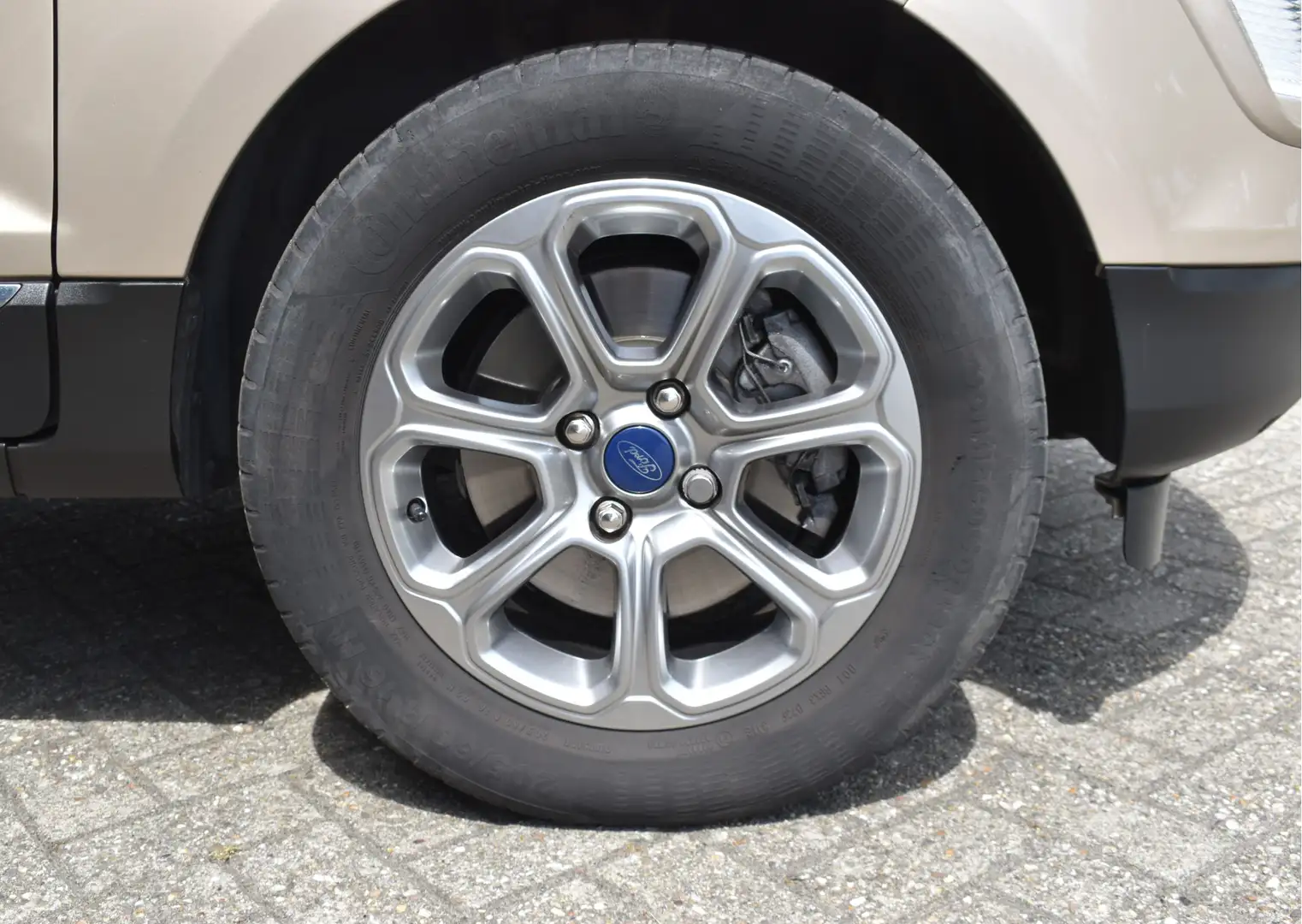 Ford EcoSport 1.0 EcoBoost Titanium Automaat / Camera / Carplay Marrón - 2