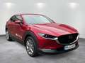 Mazda CX-30 2.5L e-SKYACTIV G 140ps Rouge - thumbnail 6