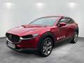 Mazda CX-30 2.5L e-SKYACTIV G 140ps Rouge - thumbnail 1