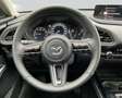 Mazda CX-30 2.5L e-SKYACTIV G 140ps Rouge - thumbnail 14