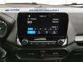Ford EcoSport 1.5 ecoblue Plus awd s&s 125cv my19 Grigio - thumbnail 12