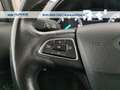 Ford EcoSport 1.5 ecoblue Plus awd s&s 125cv my19 Grigio - thumbnail 15