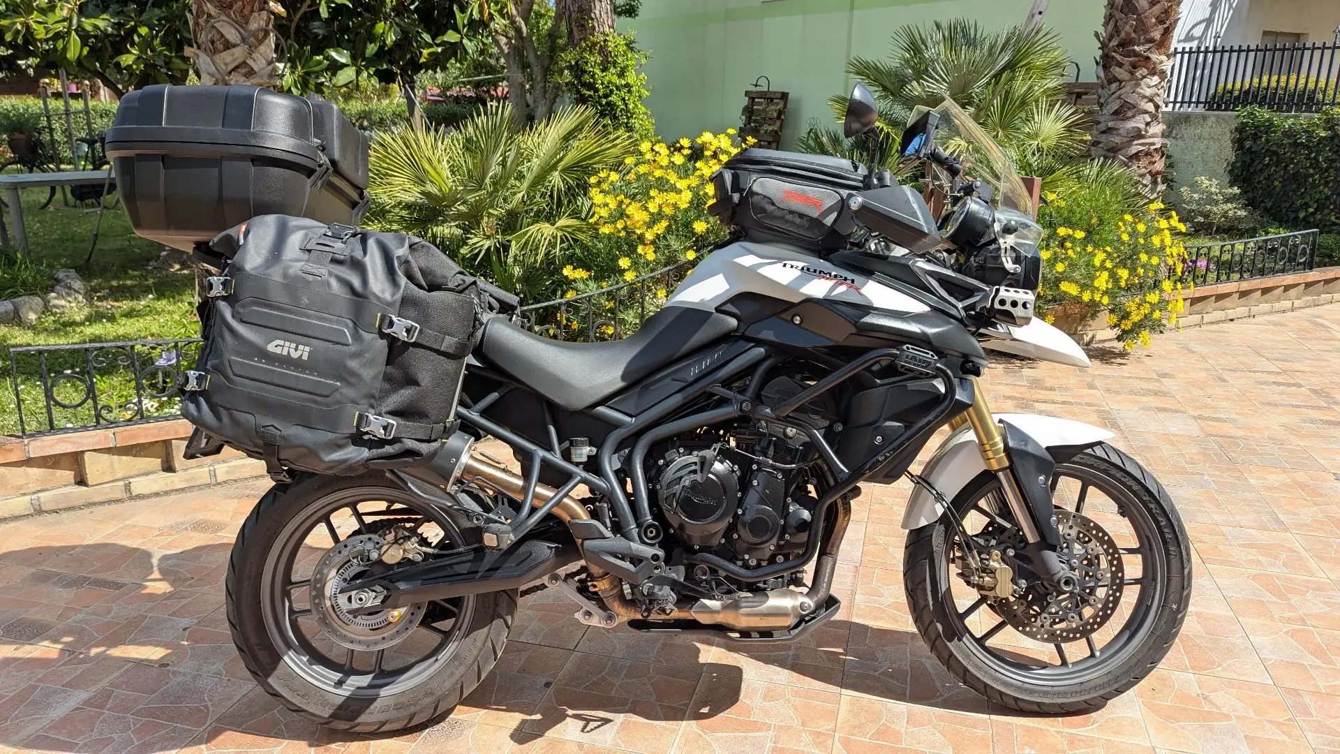 Triumph Tiger 800 ABS Alb - 1