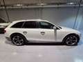 Audi A4 allroad A4 Allroad 3.0 V6 tdi Advanced s-tronic Blanc - thumbnail 4