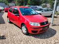 Fiat Punto 1.2 8V Active - thumbnail 3