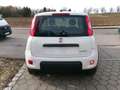Fiat Panda Fiat Panda Hybrid 1.0 GSE 51kw (70PS) Blanc - thumbnail 5