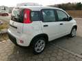 Fiat Panda Fiat Panda Hybrid 1.0 GSE 51kw (70PS) Blanc - thumbnail 4