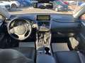 Lexus NX 300 Hybrid 4WD F-Sport Grau - thumbnail 15
