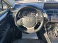Lexus NX 300 Hybrid 4WD F-Sport Grigio - thumbnail 14