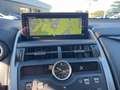 Lexus NX 300 Hybrid 4WD F-Sport Grijs - thumbnail 10