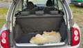 Nissan Micra Visia Klima+TÜV-11-2026+Allwetterreifen Zilver - thumbnail 17