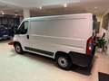 Fiat Ducato FURGONE Corto Tetto Basso 2021 Blanc - thumbnail 5