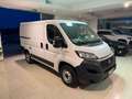 Fiat Ducato FURGONE Corto Tetto Basso 2021 Blanc - thumbnail 3