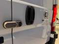 Fiat Ducato FURGONE Corto Tetto Basso 2021 Blanco - thumbnail 6