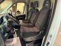 Fiat Ducato FURGONE Corto Tetto Basso 2021 Blanc - thumbnail 7