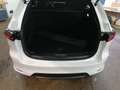 Mazda CX-60 2.5L PHEV AWD HOMURA P. Vollausstattung Weiß - thumbnail 12