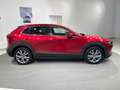 Mazda CX-30 2.0L Skyactiv-X M Hybrid 2WD Exceed Rot - thumbnail 6