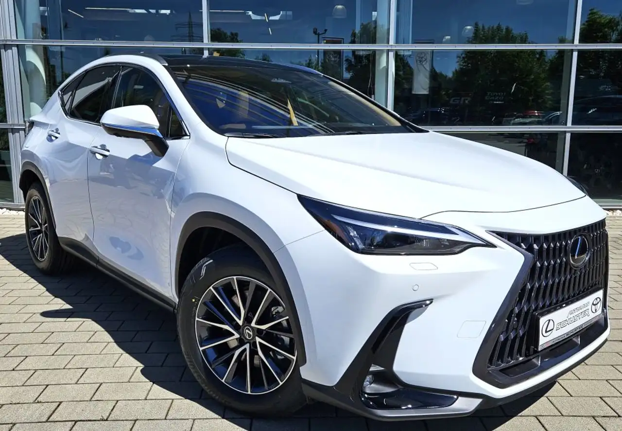 Lexus NX 450h+ E-FOUR Executive Line*Panorama-Glasdach