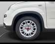 Fiat New Panda 1.0 FireFly Hybrid Blanco - thumbnail 18