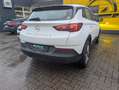 Opel Grandland Plug-in-Hybrid / Allwetterreifen / AHK abnehmbar Weiß - thumbnail 8