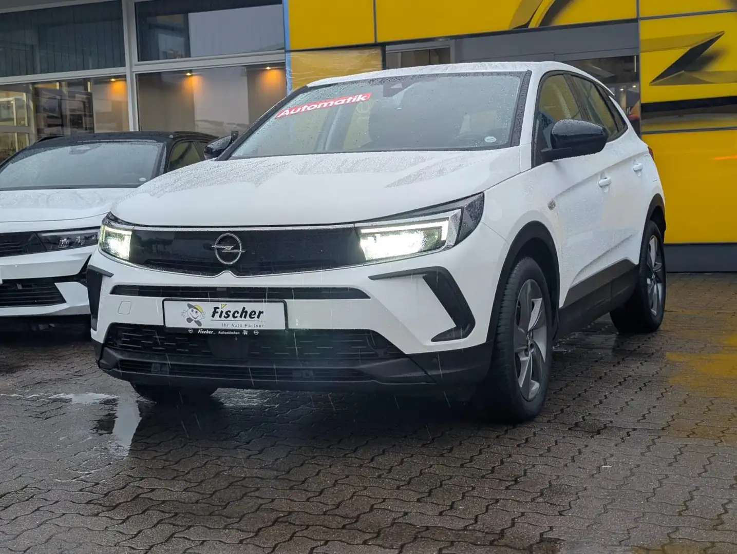 Opel Grandland Plug-in-Hybrid / Allwetterreifen / AHK abnehmbar Weiß - 1