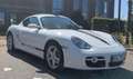 Porsche Cayman Weiß - thumbnail 1