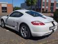 Porsche Cayman Weiß - thumbnail 4