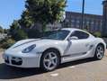 Porsche Cayman Weiß - thumbnail 2