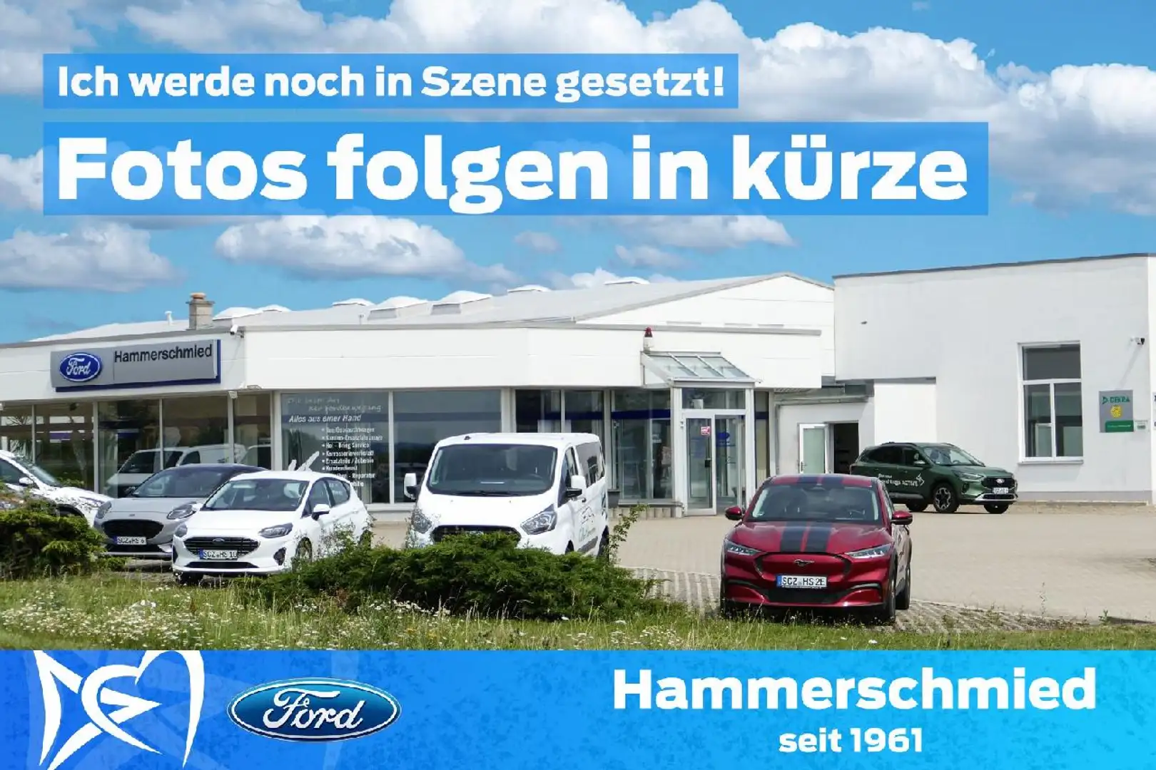 SEAT Leon X-Perience 4Drive Bleu - 1