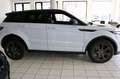 Land Rover Range Rover Evoque SE Dynamic/Navi/Kamera/Leder Blanc - thumbnail 4