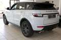 Land Rover Range Rover Evoque SE Dynamic/Navi/Kamera/Leder Blanc - thumbnail 7