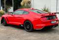 Ford Mustang 5.0 Ti-VCT V8 331kW GT (Fastb.) Rouge - thumbnail 4