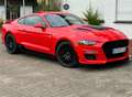 Ford Mustang 5.0 Ti-VCT V8 331kW GT (Fastb.) Rouge - thumbnail 14