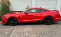Ford Mustang 5.0 Ti-VCT V8 331kW GT (Fastb.) Rouge - thumbnail 2