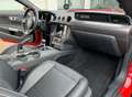 Ford Mustang 5.0 Ti-VCT V8 331kW GT (Fastb.) Rouge - thumbnail 10