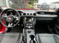 Ford Mustang 5.0 Ti-VCT V8 331kW GT (Fastb.) Rouge - thumbnail 9