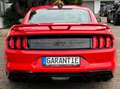 Ford Mustang 5.0 Ti-VCT V8 331kW GT (Fastb.) Rouge - thumbnail 5