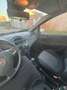 Fiat Punto 5p 1.3 mjt Street s&s 95cv - thumbnail 8