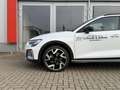 Audi A3 allstreet 35 TDI S tronic MATRIX+LEDER+SONOS Weiß - thumbnail 6
