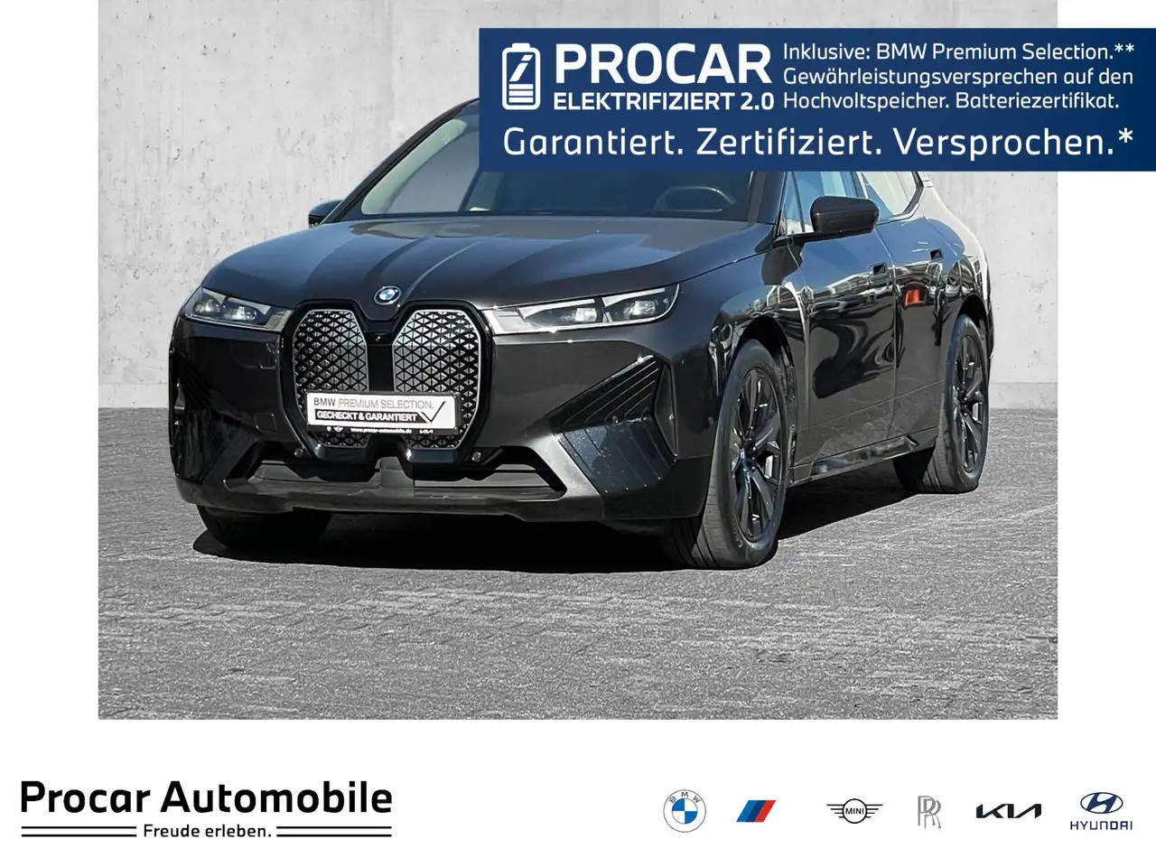 BMW iX