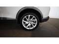 CUPRA Formentor 2.0 TDI LED RADAR NAVI R-CAM ASSIST PDC Weiß - thumbnail 24