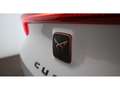 CUPRA Formentor 2.0 TDI LED RADAR NAVI R-CAM ASSIST PDC Weiß - thumbnail 8