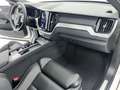Volvo XC60 XC60 B5 (bz) 250CV AWD AUT PLUS DARK Blanc - thumbnail 10
