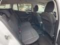 Ford Focus Turnier Active *AHK *LED *Navi *PDC *SHZ Weiß - thumbnail 11